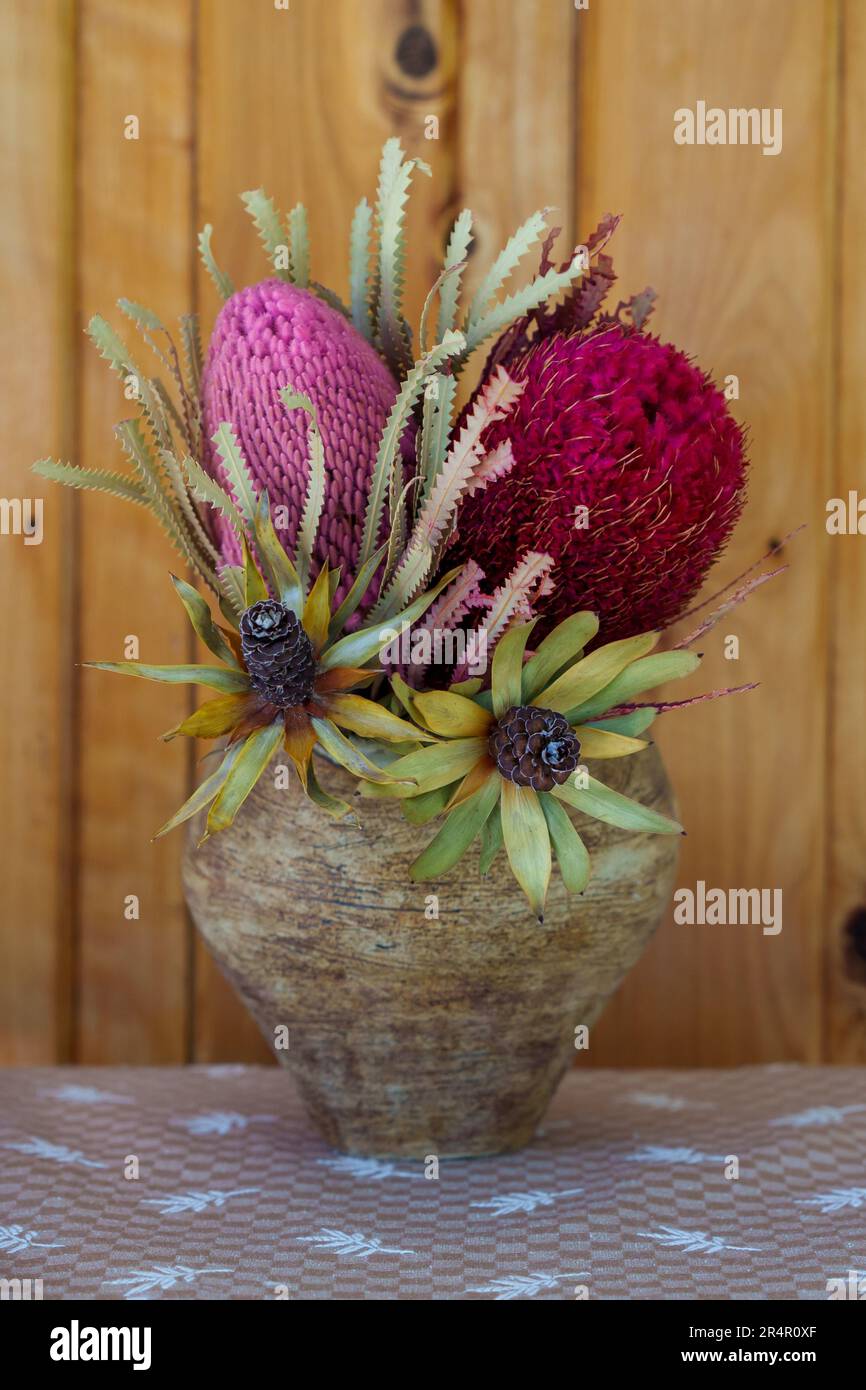 Dried Australian native flowers in a hand built pottery vase. Stock Photo