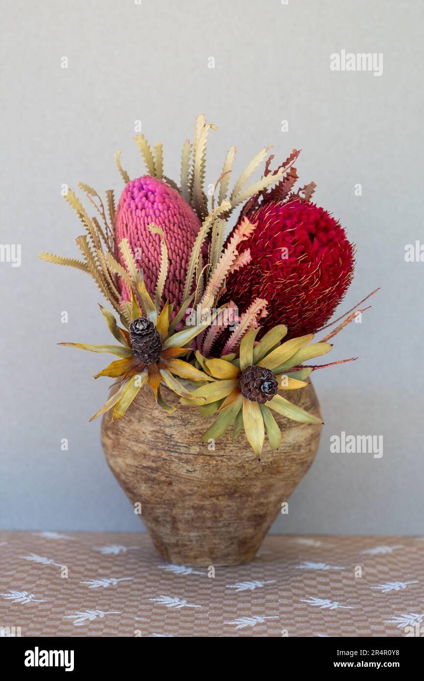 Dried Australian native flowers in a hand built pottery vase. Stock Photo