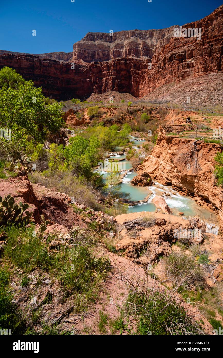View of Navajo Falls. Supai, Arizona, USA. Stock Photo