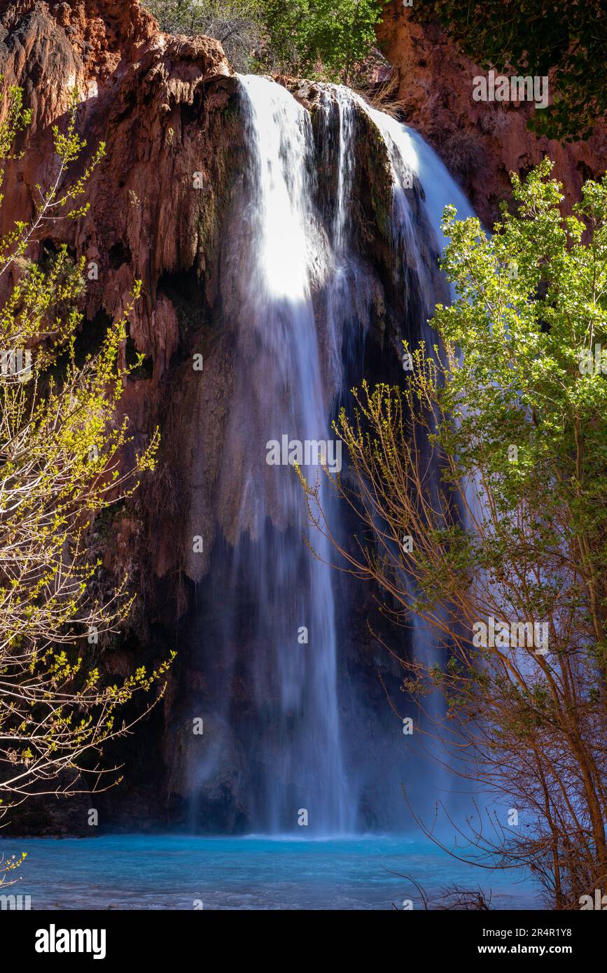 Low-angle view of Havasu Falls. Supai, Arizona, USA. Stock Photo