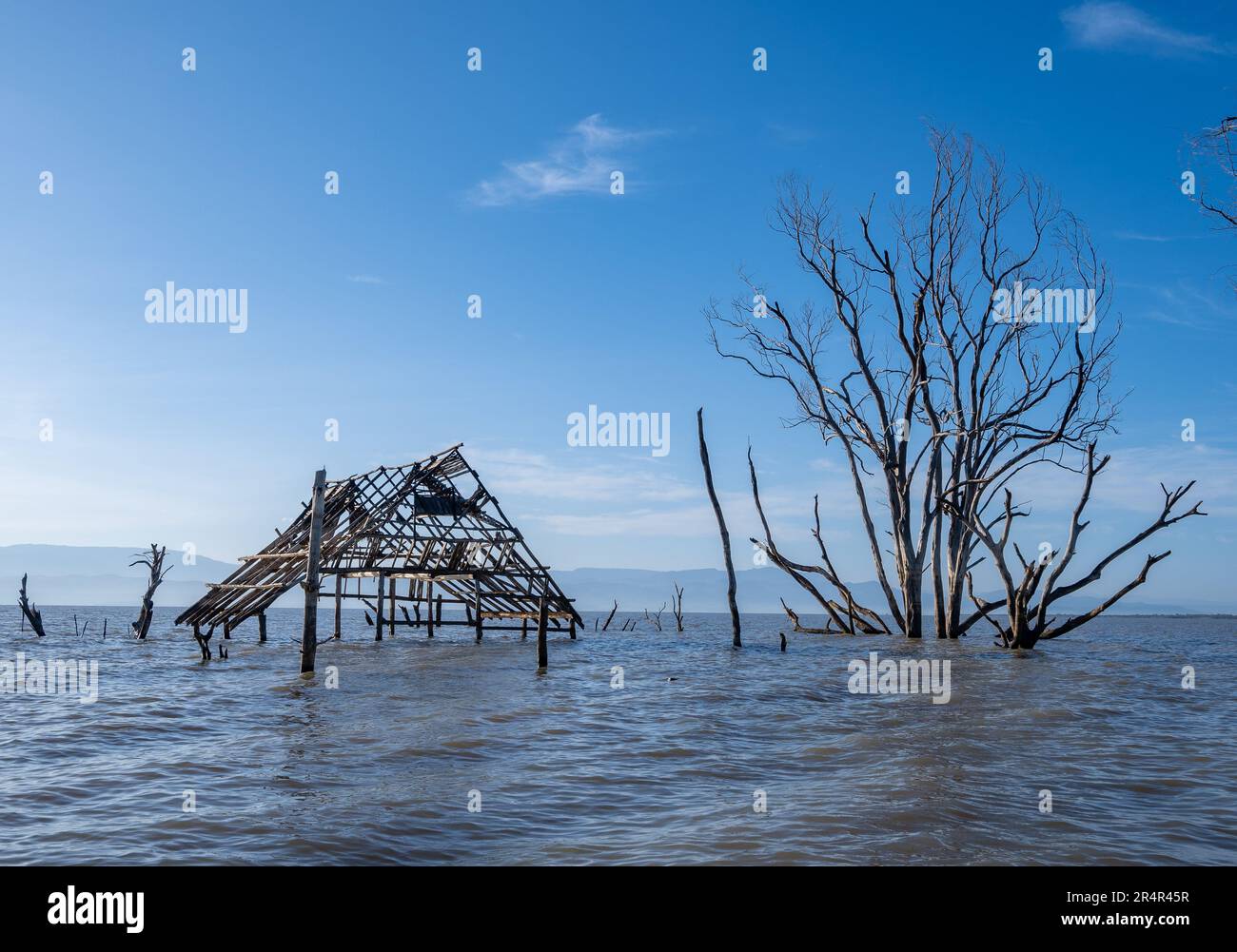 Rising water level forced poeple to abandon their village near Lake Baringo. Kenya, Africa. Stock Photo