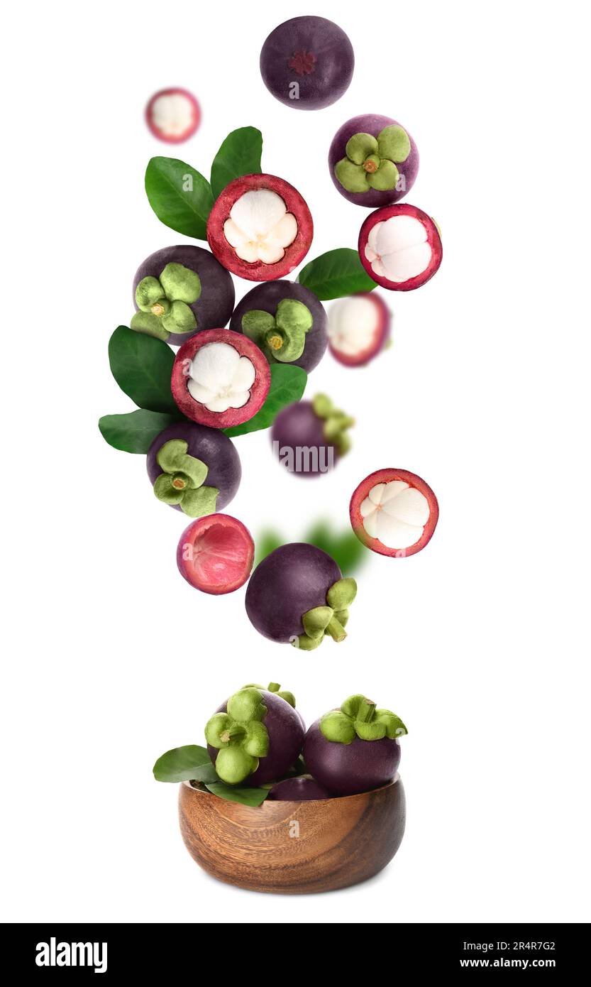 Many ripe mangosteen fruits and leaves falling into wooden bowl on