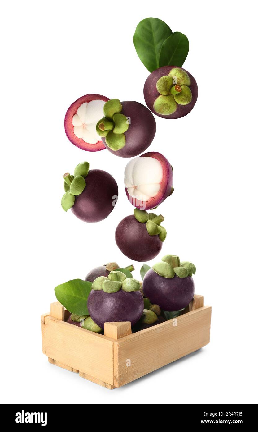 Many ripe mangosteen fruits and leaves falling into wooden crate on
