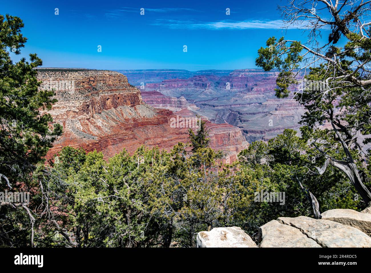 South Rim of the Grand Canyon in Springtime Stock Photo - Alamy