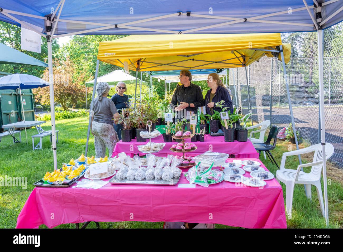 Issaquah, Washington, USA.  Array of baked goods for sale at an outside Pea Patch plant / bake sale fundraiser. Stock Photo