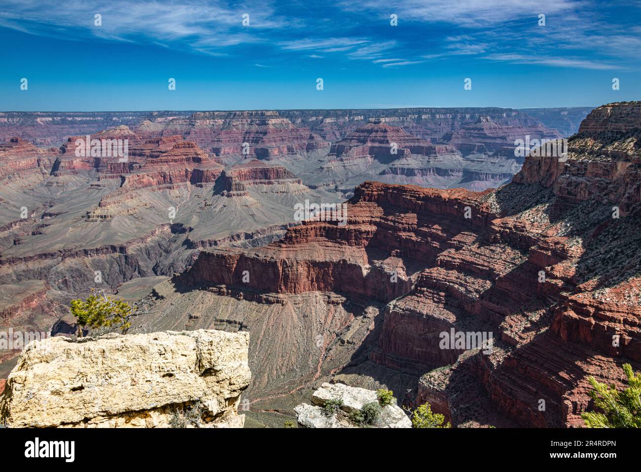 South Rim of the Grand Canyon in Springtime Stock Photo - Alamy