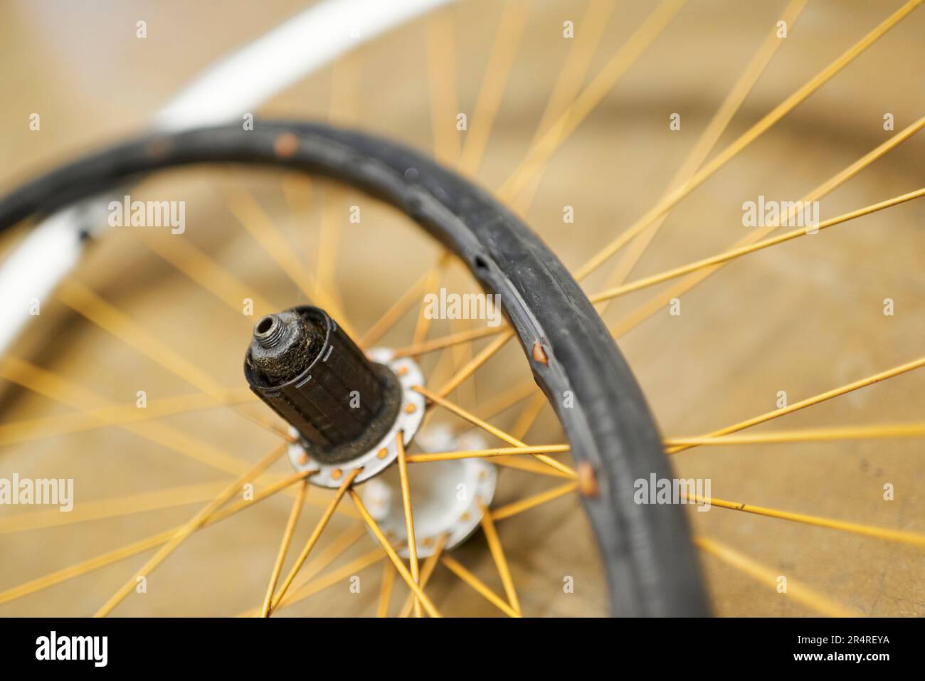 Bicycle wheel and airless tire disassembled on the floor of a bike
