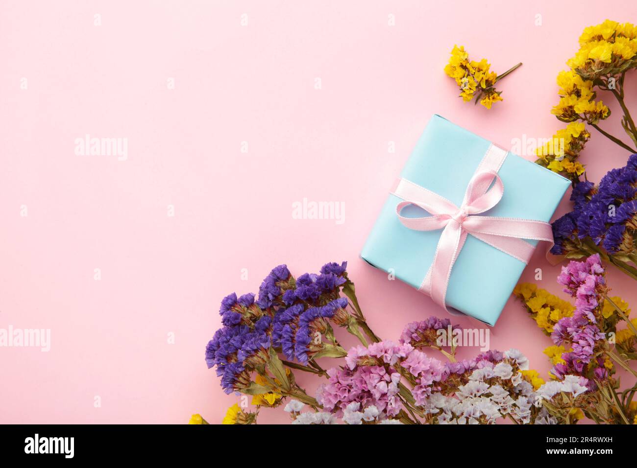 Gift or present box and flower on pink background. Pastel color ...