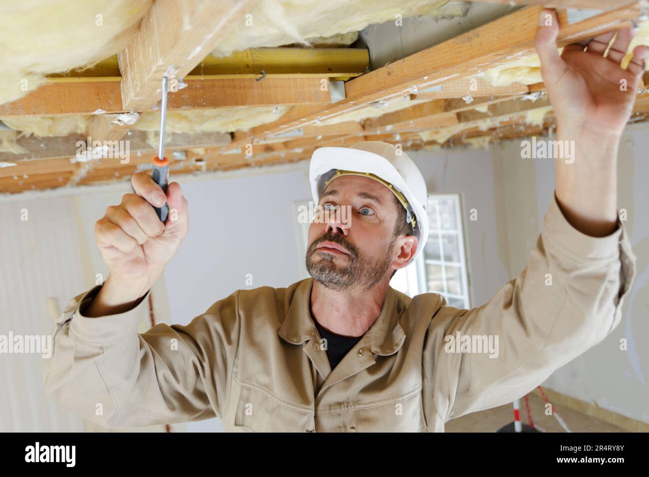 builder drives screws into ceiling Stock Photo Alamy