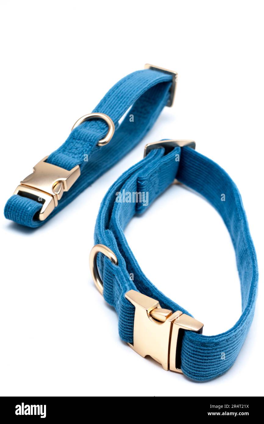 Collar and tag hi-res stock photography and images - Alamy