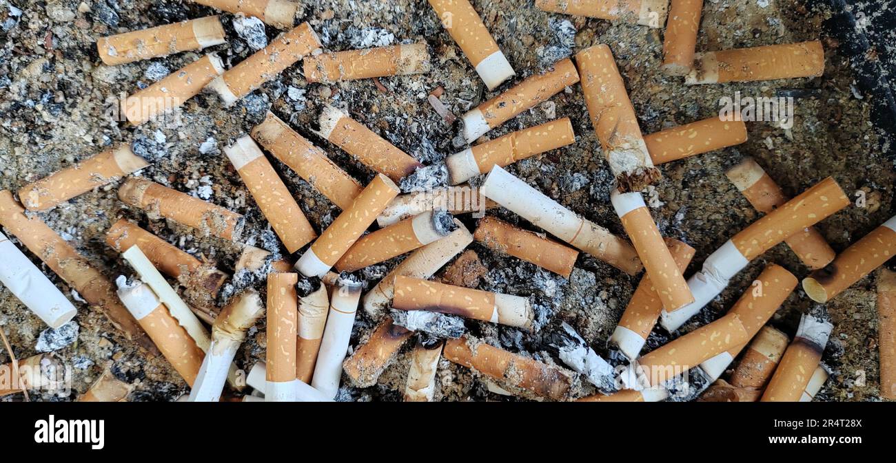 cigarette debris Smoking and Effects on the Environment for Concessioners (U.S. National Park Service) Cigarette butts: how the no