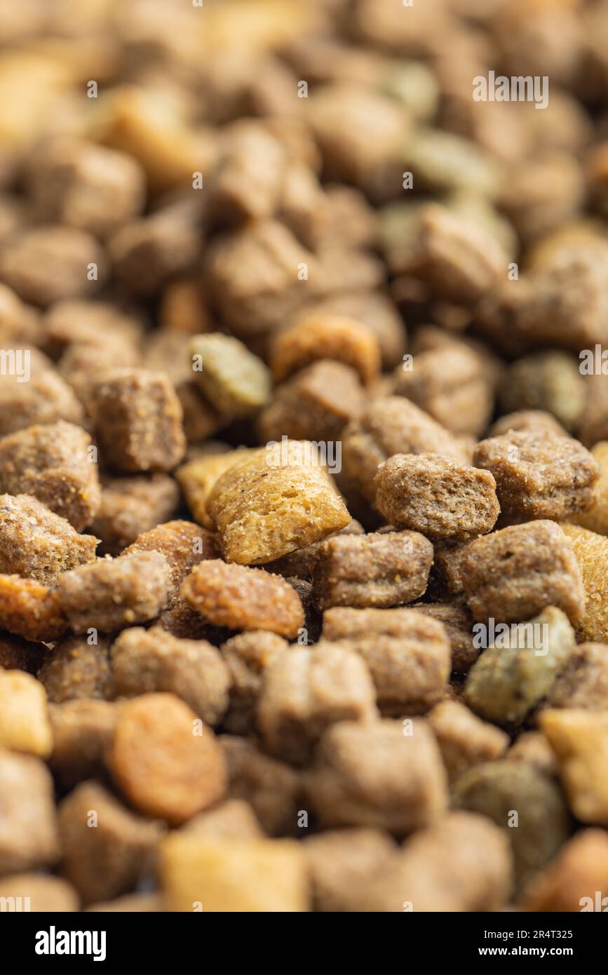 Crunchy dog treat hi-res stock photography and images - Alamy