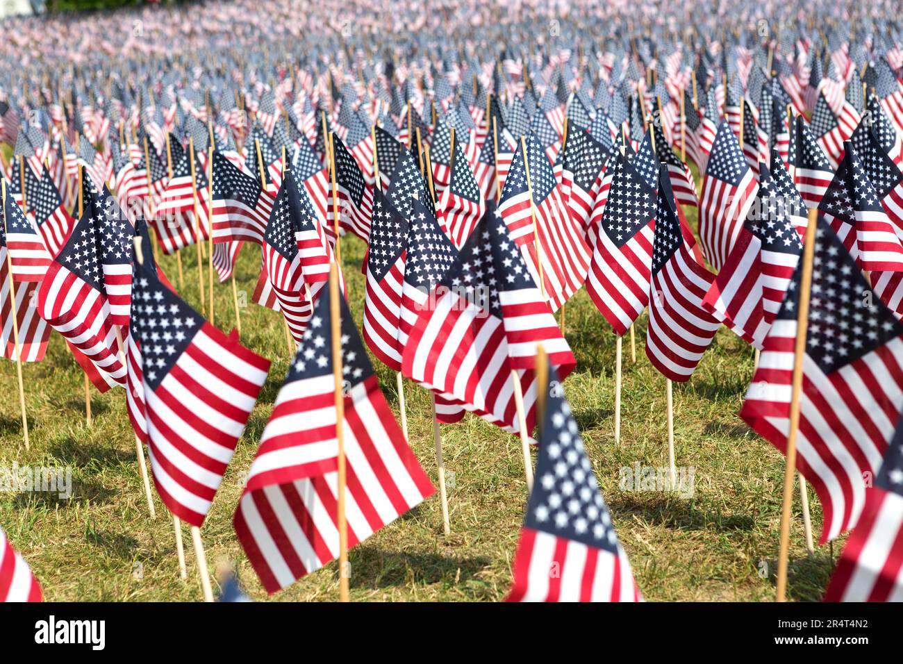 USA, Massachusetts, Boston, American flags planted on Boston Common as War Memorial. Stock Photo