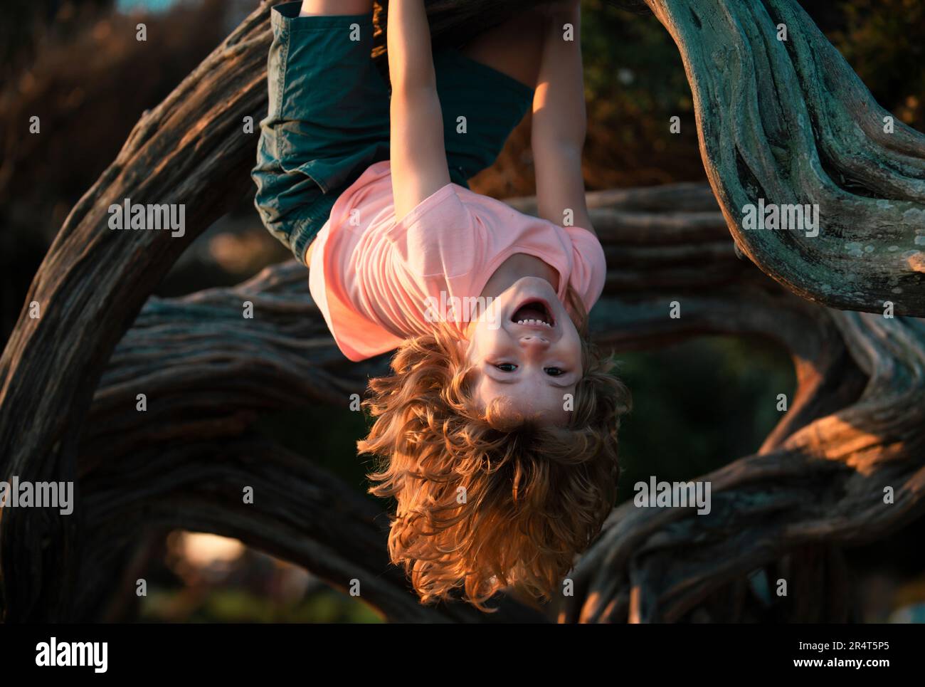 Little boy facing challenge trying to climb a tree upside down. Stock Photo