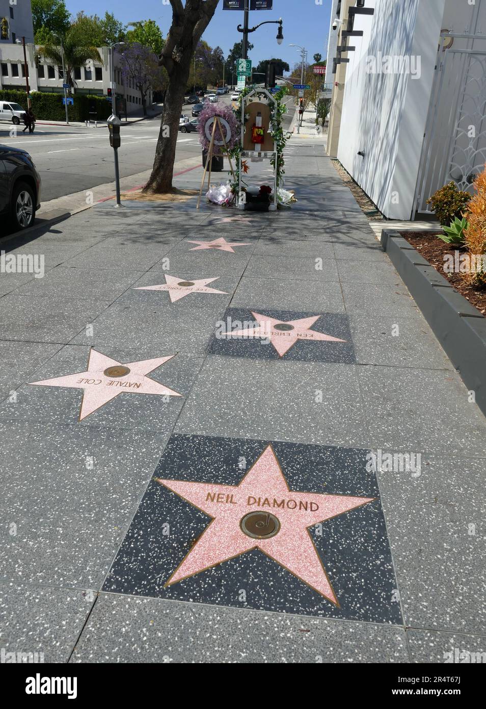 Los Angeles, California, USA 27th May 2023 Singer Neil Diamond Hollywood  Walk of Fame Star on May 27, 2023 in Los Angeles, California, USA. Photo by  Barry King/Alamy Stock Photo Stock Photo - Alamy