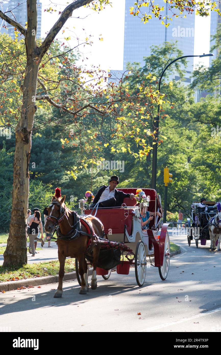 US, New York, horse and carriage near Central park. Stock Photo