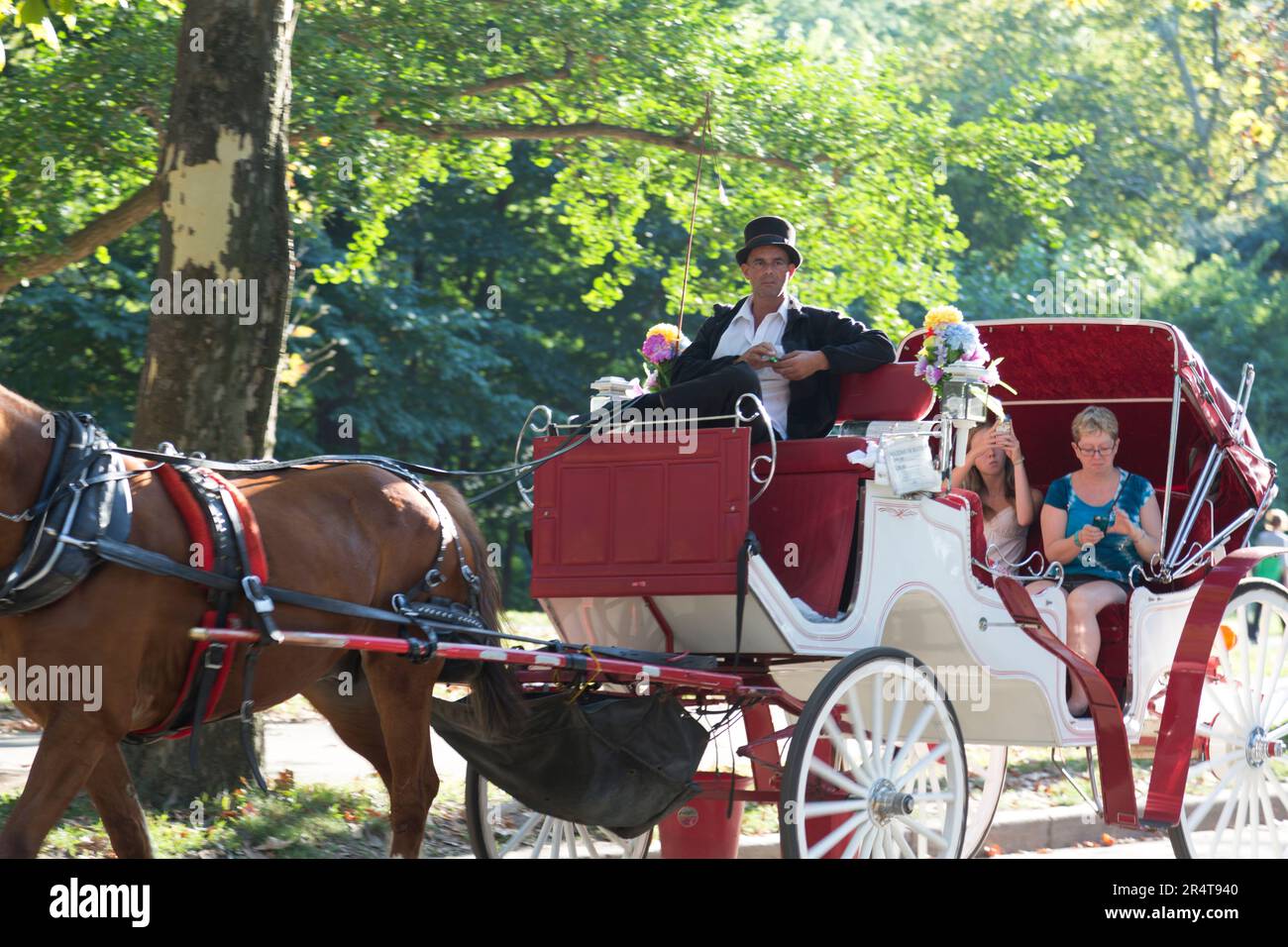 Central park horse and carriage hi-res stock photography and images - Alamy