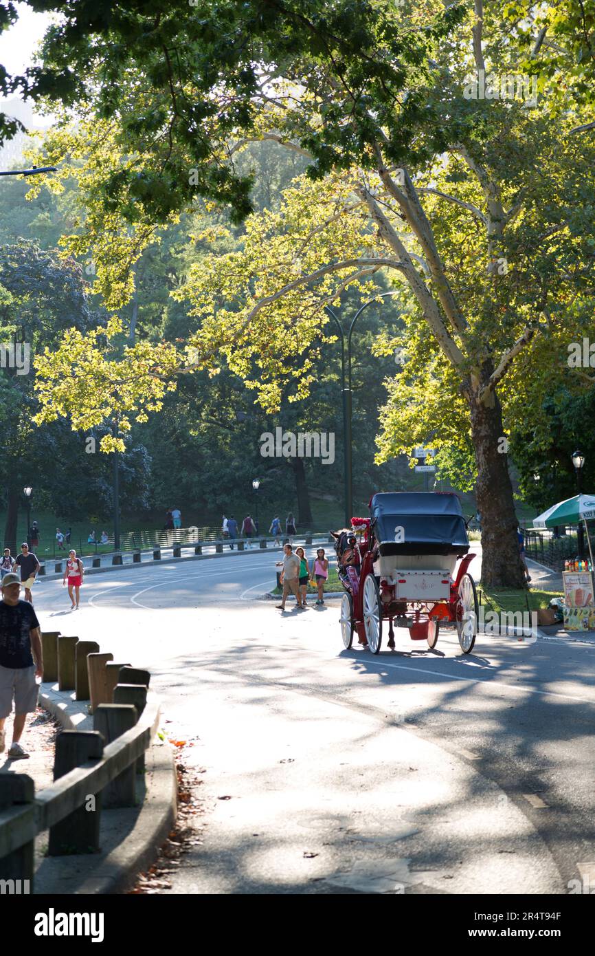 US, New York, horse and carriage near Central park. Stock Photo