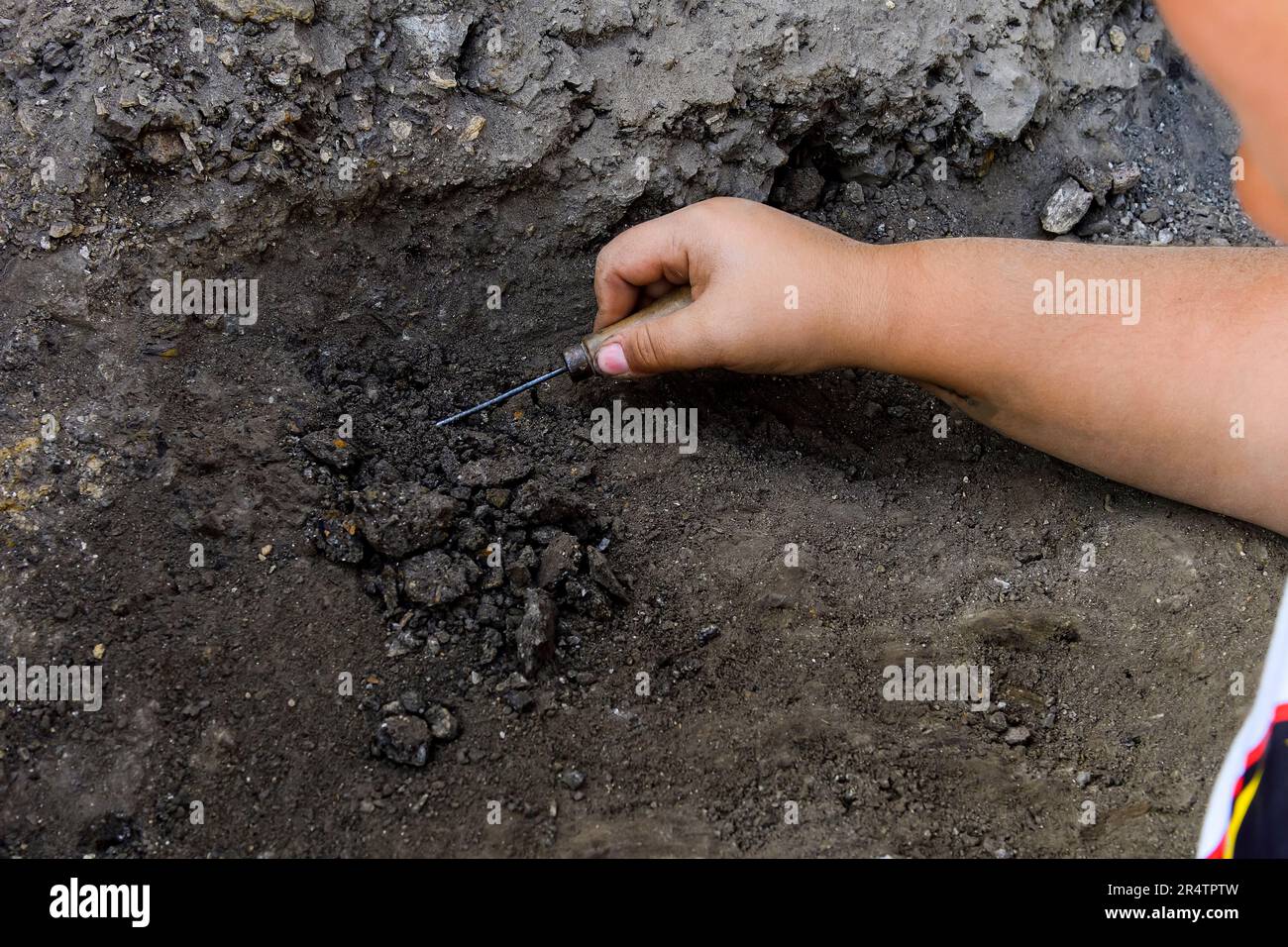 Paleontologist cleaning the bones of a dinosaur Stock Photo Alamy