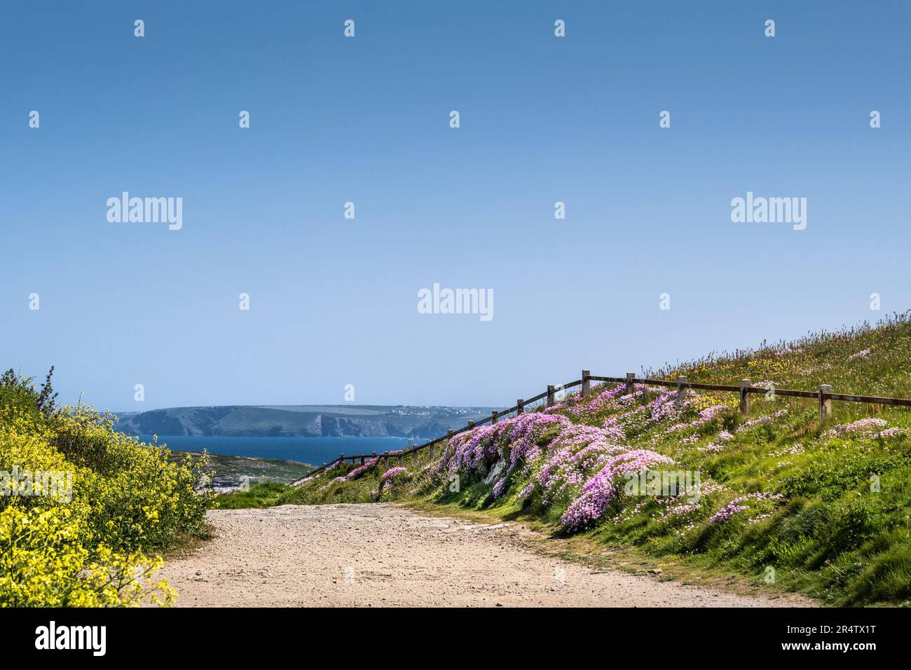 The coast path leading down to Fistral in Newquay in Cornwall in the UK, Europe Stock Photo