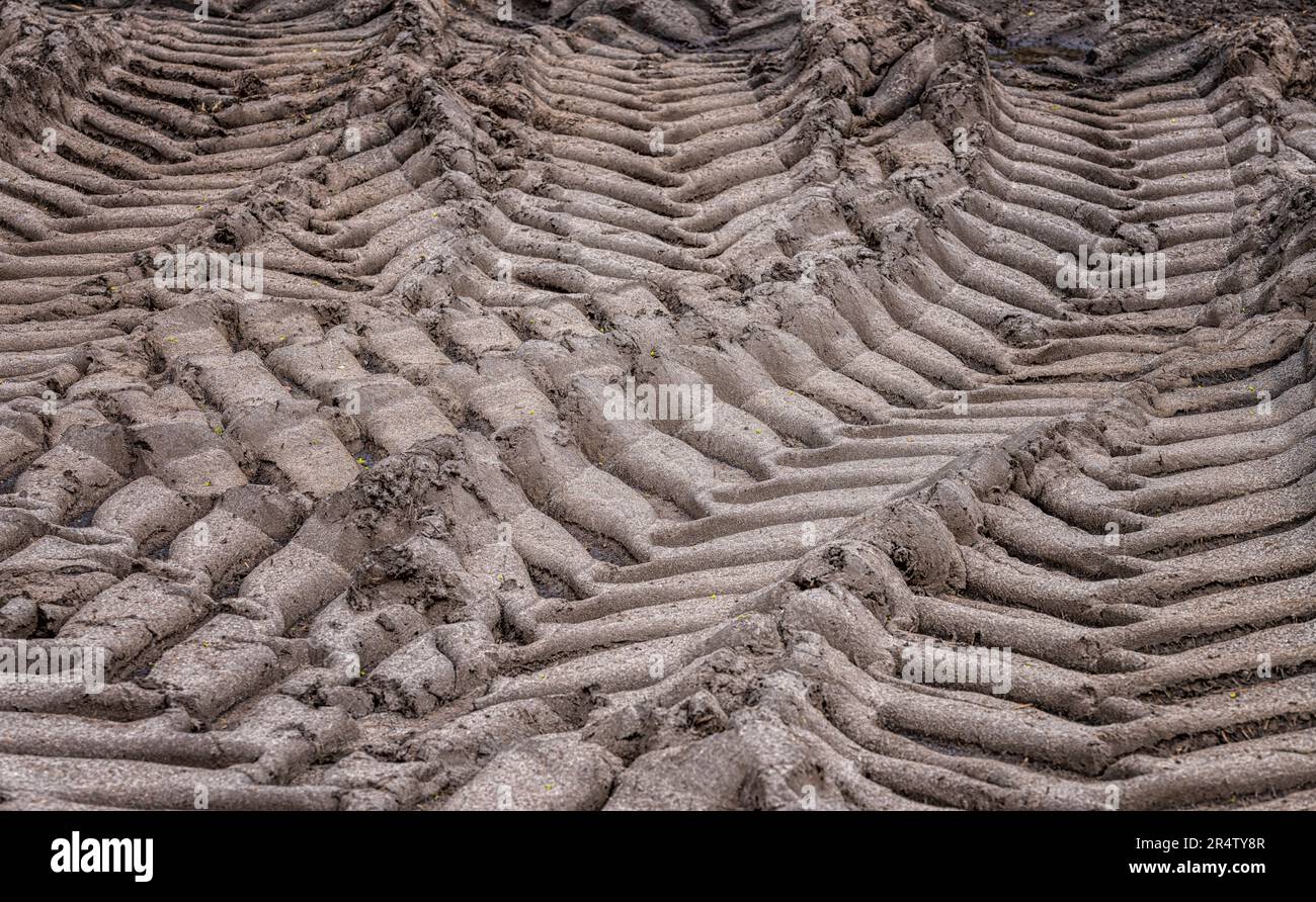 Tractor Tire Tracks In Clay Soil, Berlin, Germany Stock Photo
