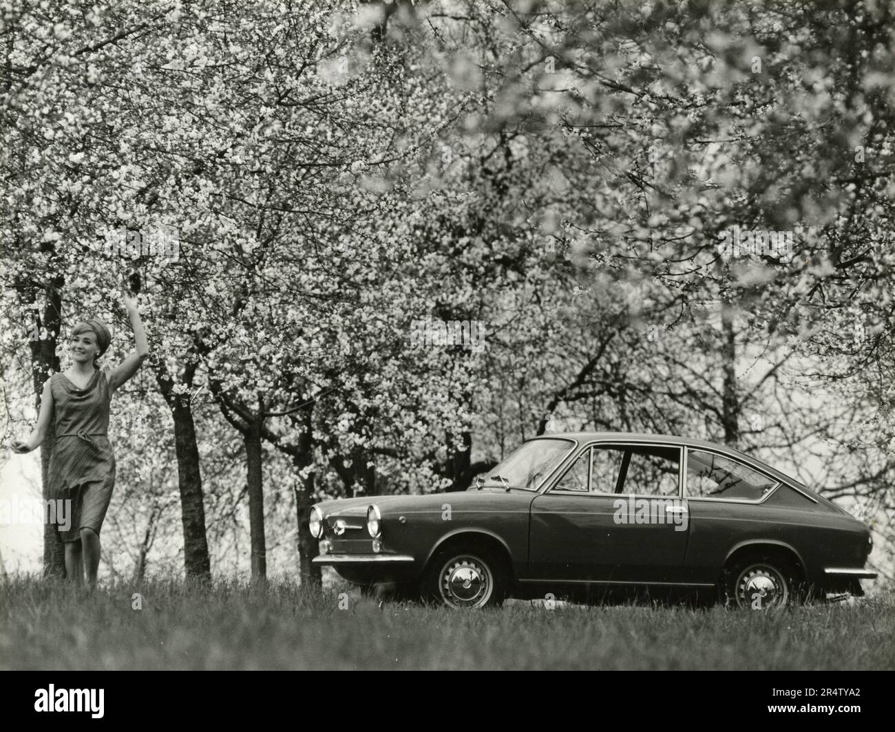 A woman and a FIAT 850 Coupè automobile in a orchard in flower, Italy 1960s Stock Photo