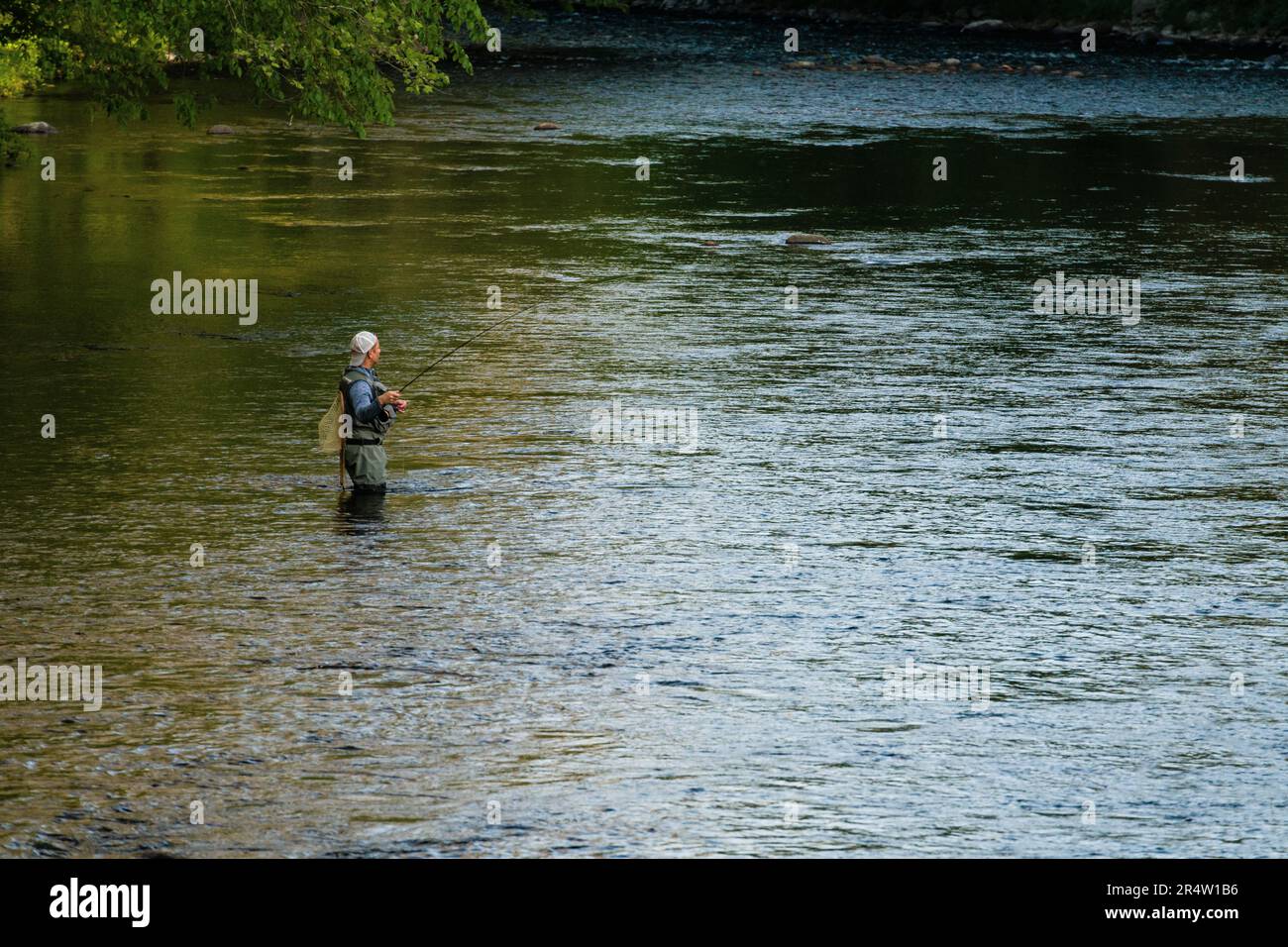 Fly Fisherman on the West Branch of the Farmington River American Legion and Peoples State Forests   Barkhamsted, Connecticut, USA Stock Photo