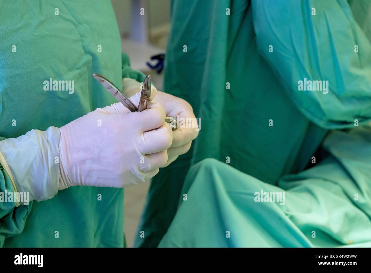 Surgeon gloved hand equipped with sterile forceps needle holder