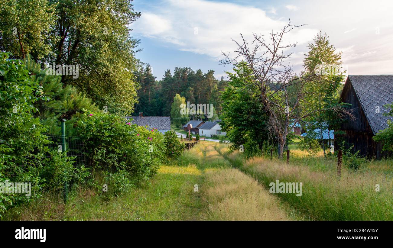 Stanin Beautiful rural landscape of a small village in eastern Poland. Small ...