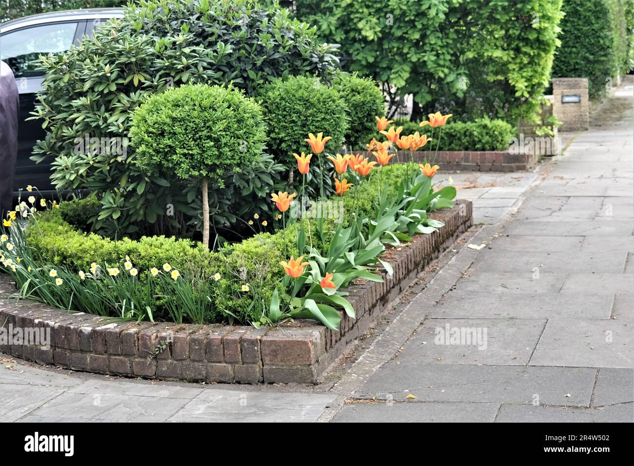 An elegant and cleverly designed garden in Hampstead North London with taste and style. Featuring a lovely interplay between flowers and foliage Stock Photo