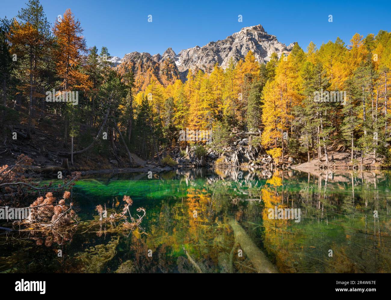French Alps. Green Lake surounded by larch trees in Autumn. Narrow Valley, Hautes-Alpes, European Alps, France Stock Photo