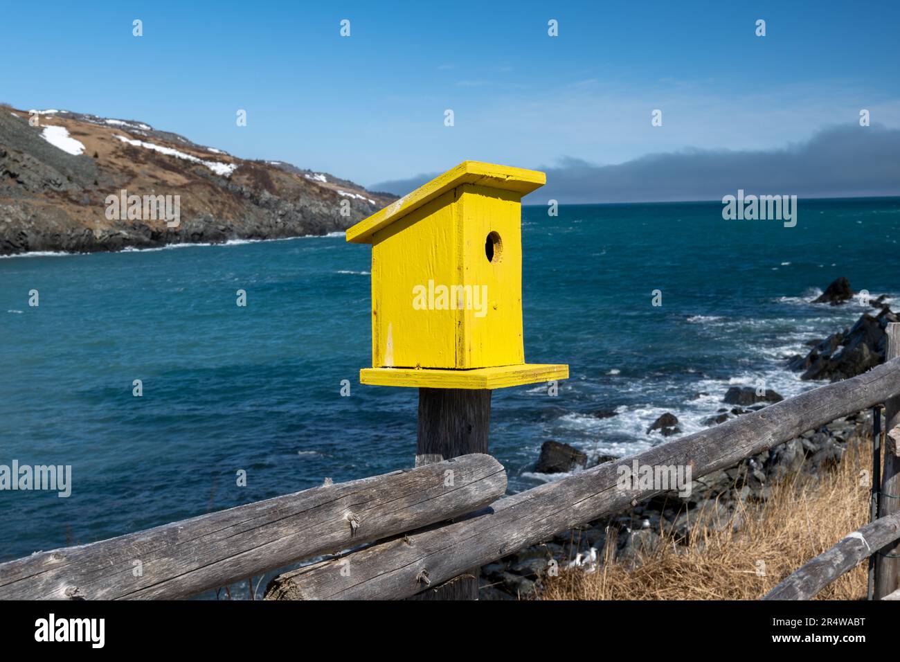 A vibrant yellow colored wooden homemade bird house or nesting box on a