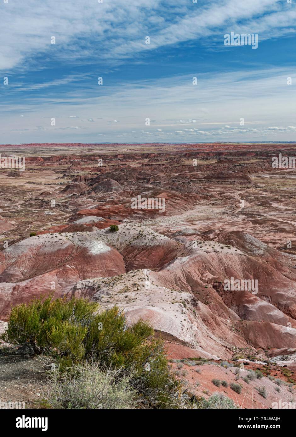The painted desert is part, a large part of Petrified Forest National
