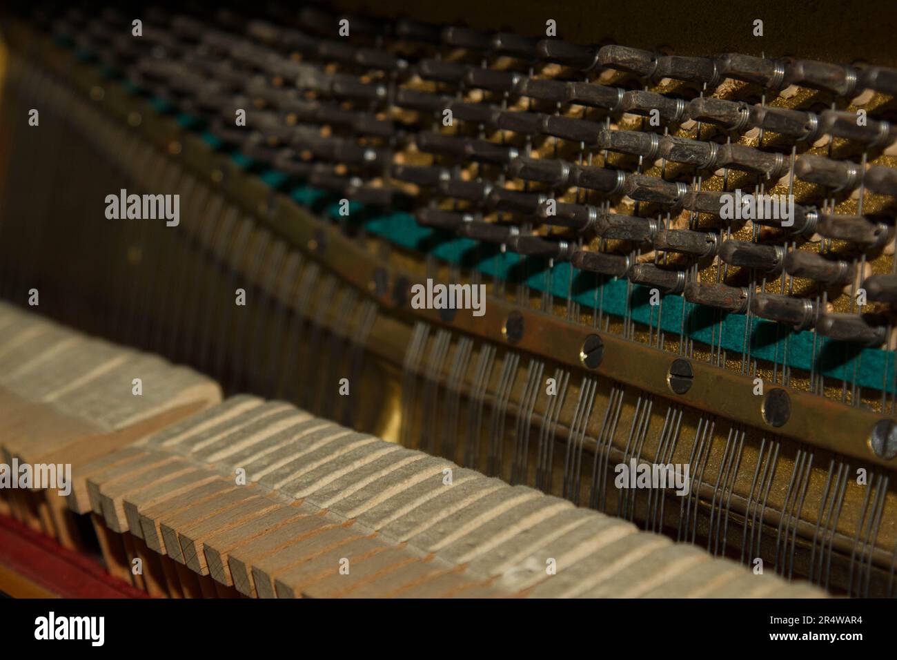 Repair of a stringed musical instrument. The interior of a piano with ...