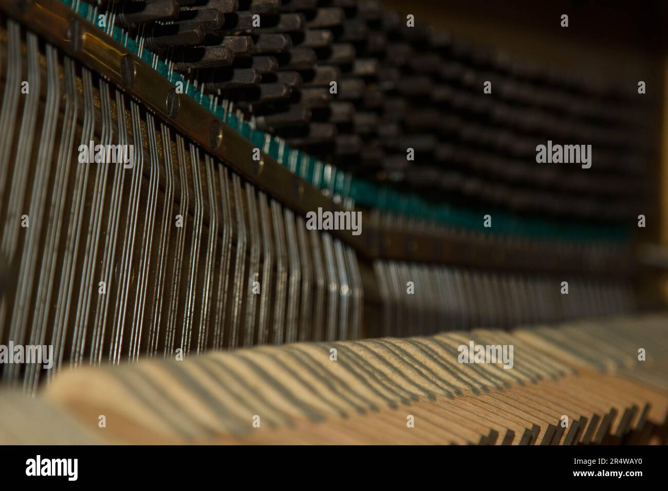 Repair of a stringed musical instrument. The interior of a piano with brass metal strings and a