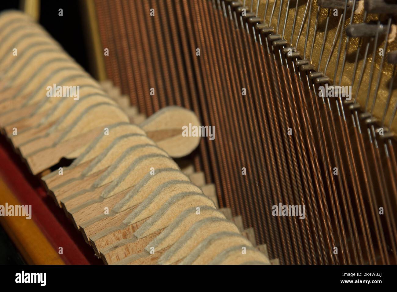 Repair of a stringed musical instrument. The interior of a piano with brass metal strings and a