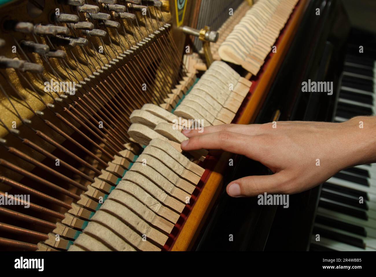 Repair of a stringed musical instrument. Inside view of a piano with brass metal strings and a