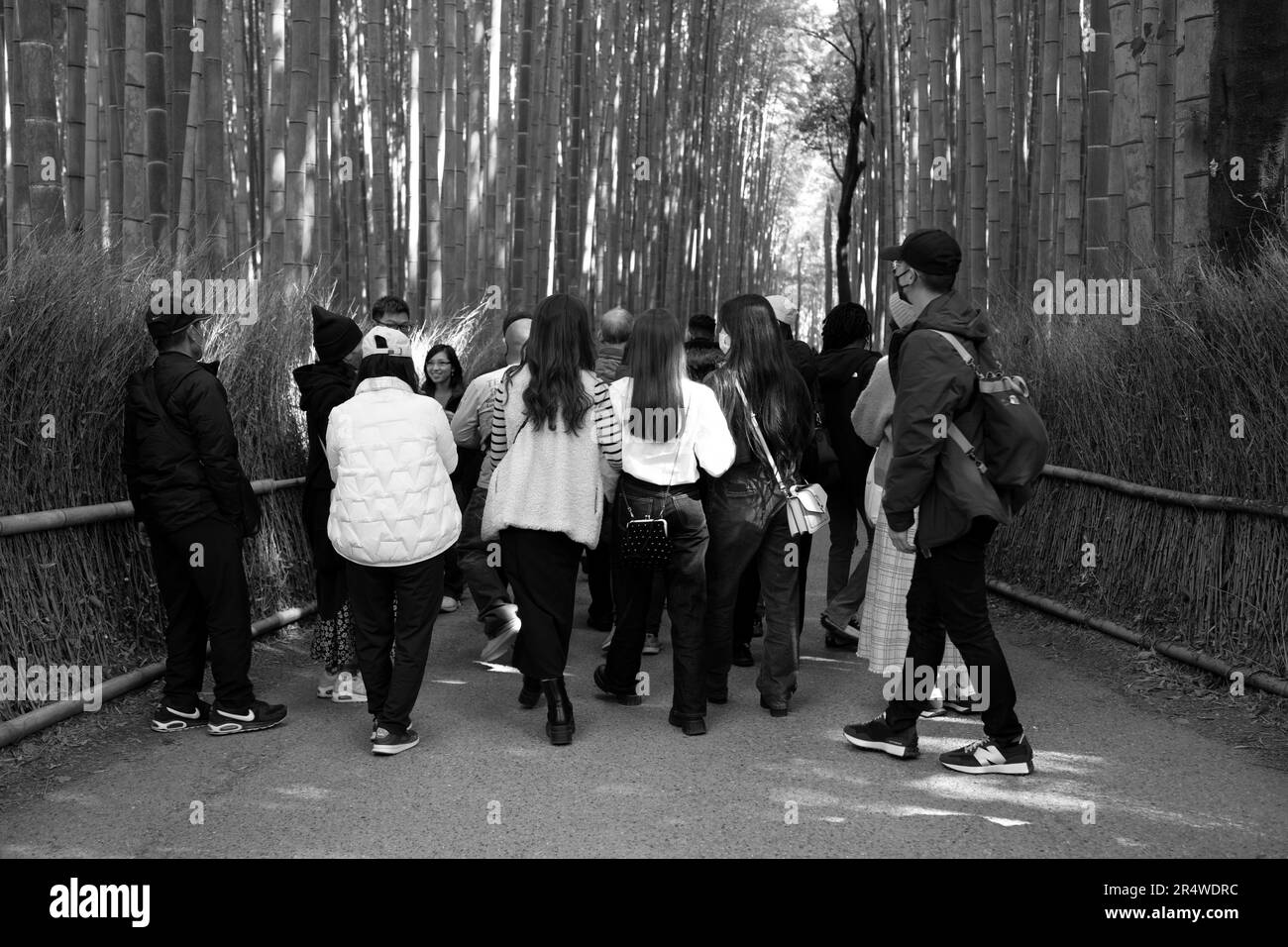 March 7, 2023, Kyoto, Japan: Crowds of tourists viewing and taking selfies photos at Arashiyama Bamboo Grove åµå±± ç«¹æž—ã®å°å¾„ while on holiday. Also known as ''the Bamboo forest'' a popular tourist attraction on the site of the sacred Nonomiya-jinja Shrine é‡Žå®®ç¥žç¤¾...Kyoto (äº¬éƒ½) is a historic major city in Japan, rich in cultural heritage and traditional charm. Known for its iconic temples, picturesque gardens, and historic landmarks like Kinkaku-ji and Fushimi Inari Taisha, Kyoto offers a glimpse into Japan's past. Its vibrant festivals, exquisite cuisine, and serene atmosphere c Stock Photo