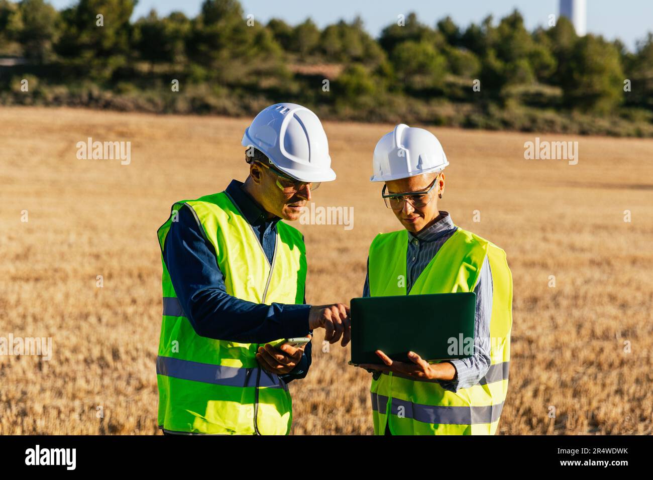 Engineers using a laptop while working together in the field. Stock Photo