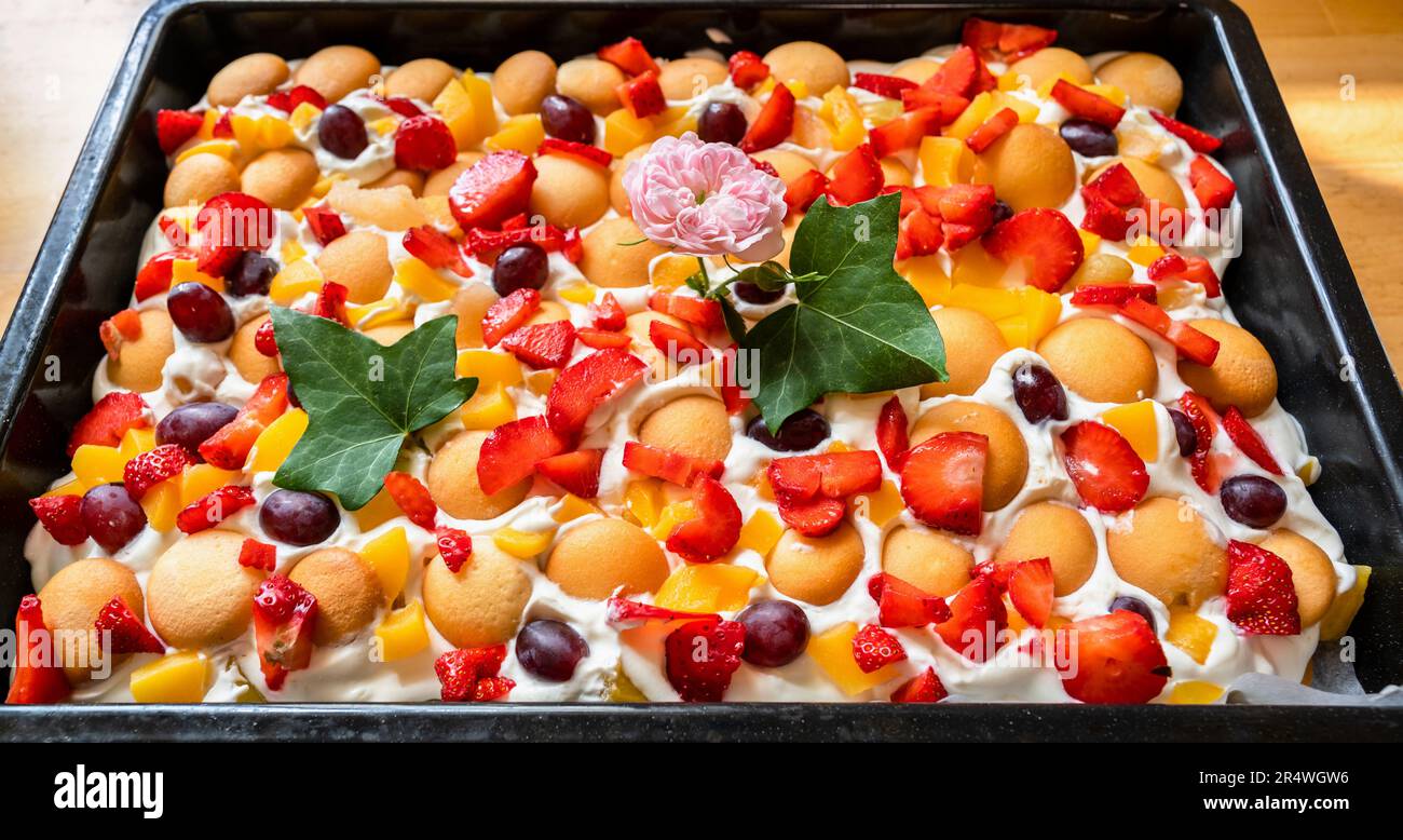Unbaked colorful juicy fruit dessert with sponge cake and creamy curd and yogurt on baking pan, closeup. Stock Photo