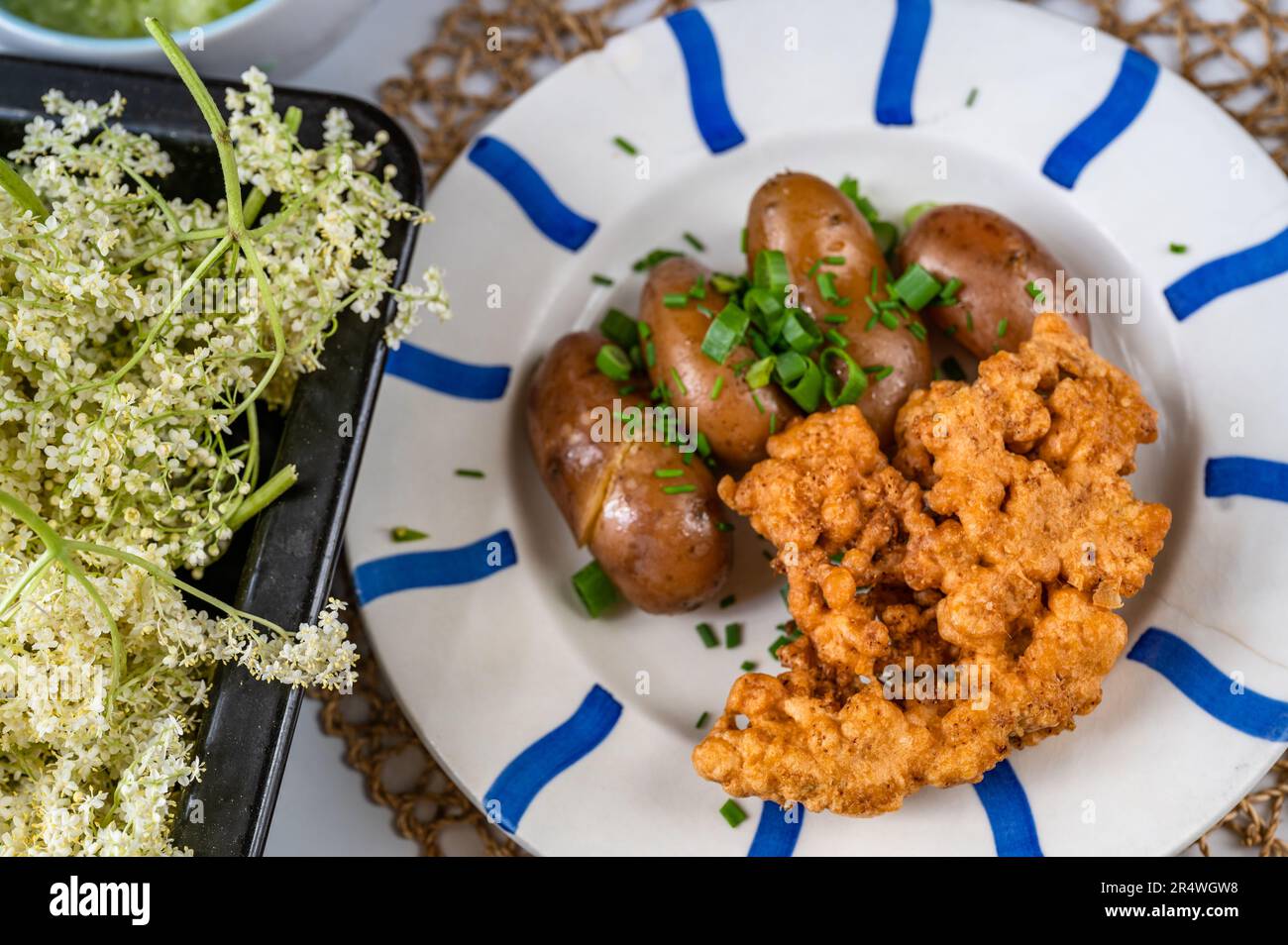 Plate with fried elder flower in dough and boiled potato, elder flowers on baking pan, closeup. Stock Photo