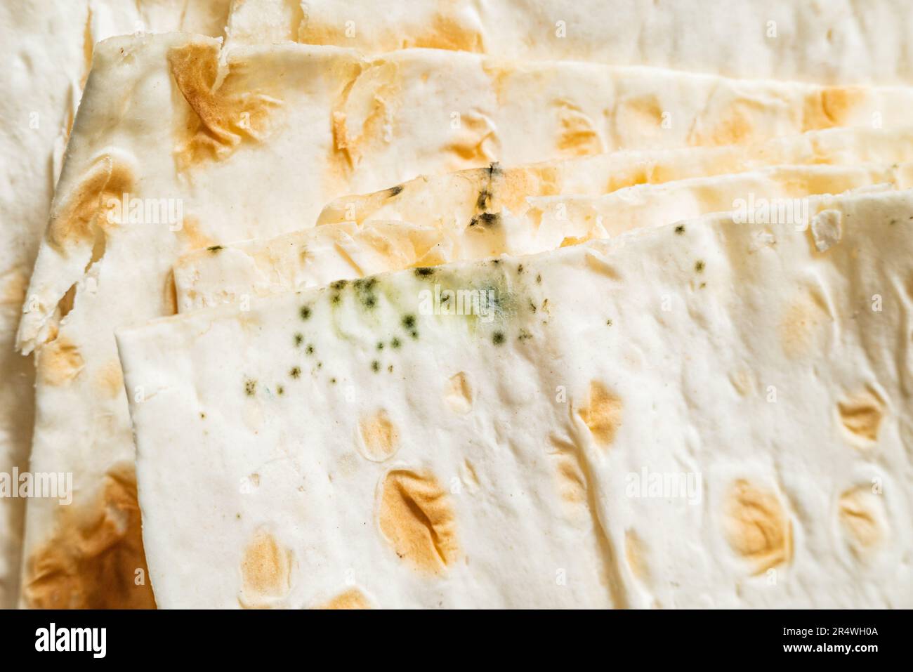 Moldy pita. Spoiled bread. Macro. Close up. Texture Stock Photo Alamy