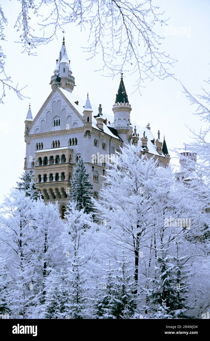 Germany. Bavaria. Neuschwanstein Castle in the snow. Stock Photo