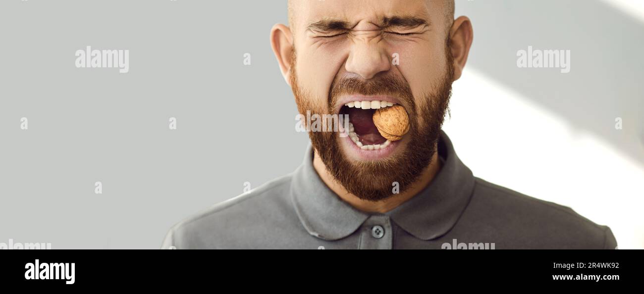 Studio head shot of young man with strong and sturdy teeth trying to crack walnut. Stock Photo