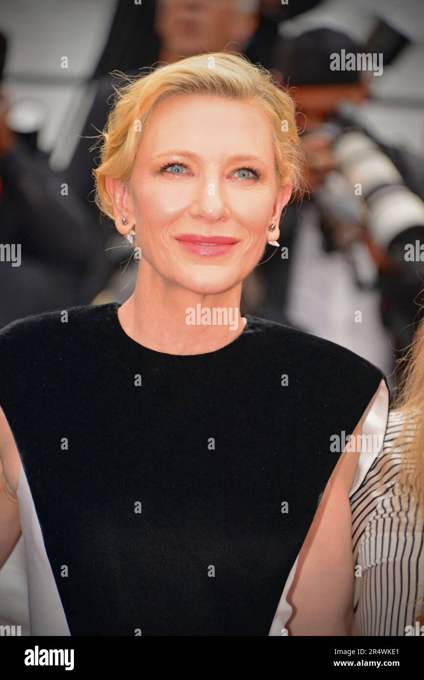 Cate Blanchett Wore a Louis Vuitton Dress With Bejeweled Pockets on the  Cannes Film Festival Red Carpet