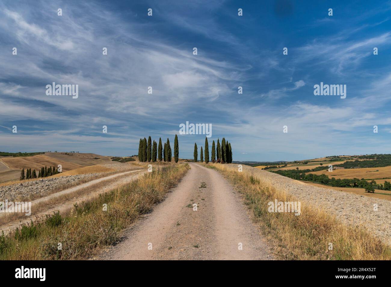 Tuscan landscape with road and cypresses Stock Photo