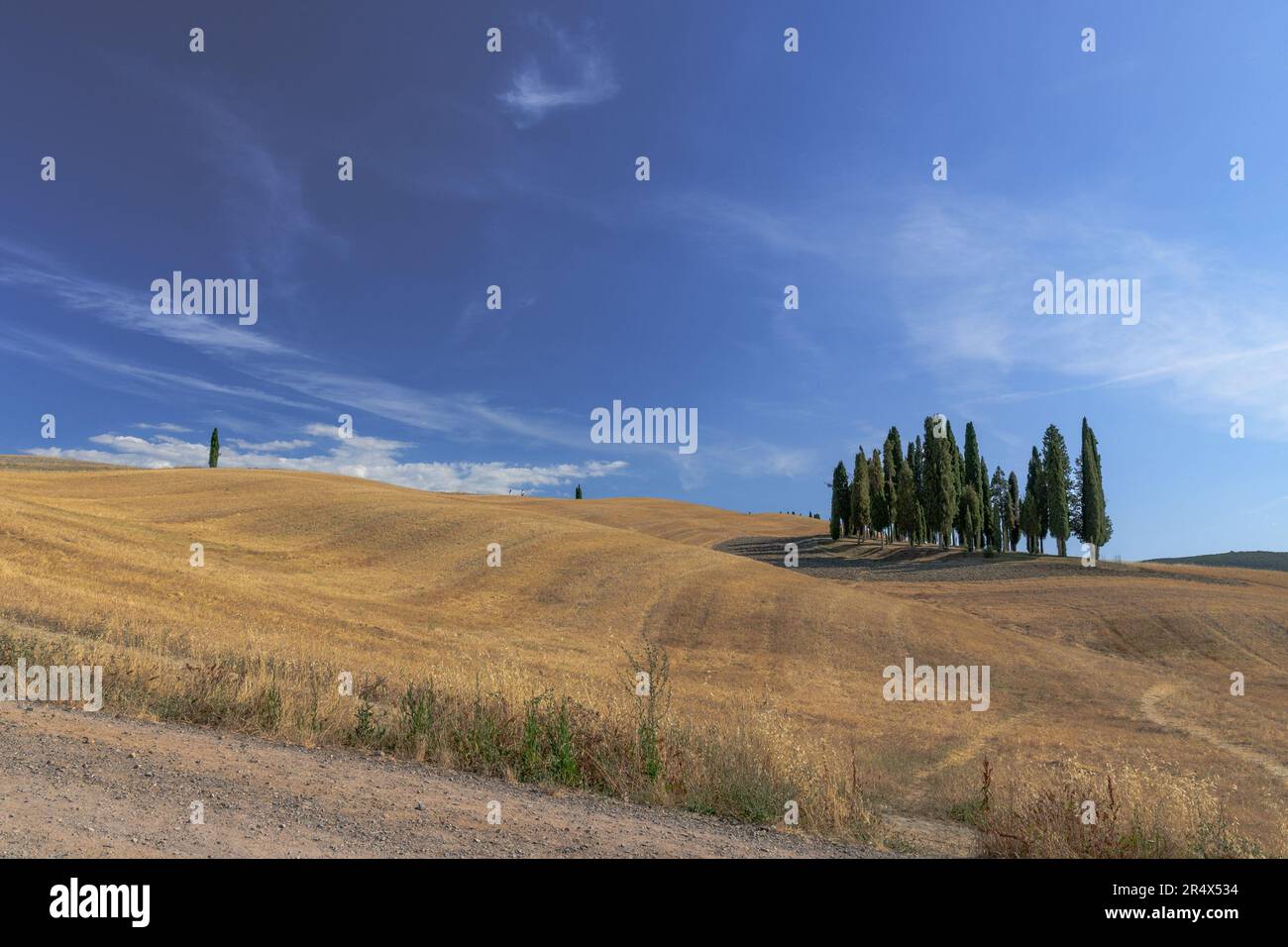 Tuscan landscape with road and cypresses Stock Photo