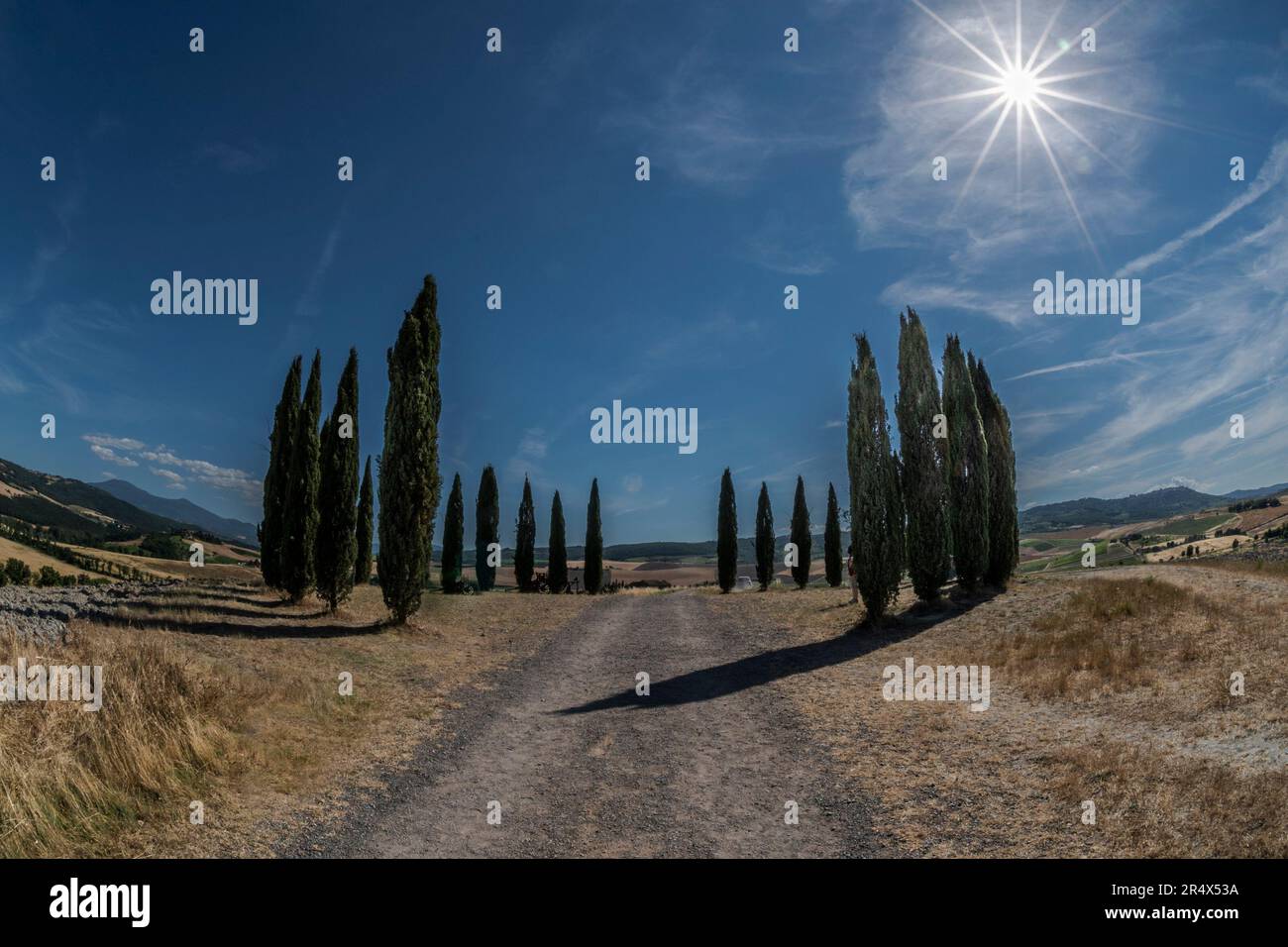 Tuscan landscape with road and cypresses Stock Photo