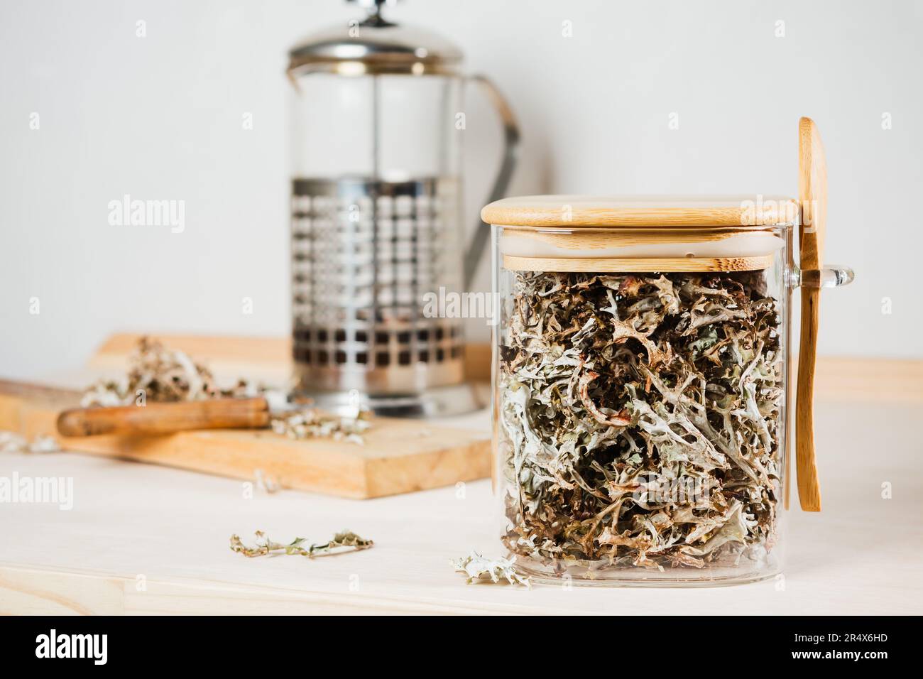 Dry icelandic moss in a glass jar. Cetraria islandica. Alternative medicine. Stock Photo