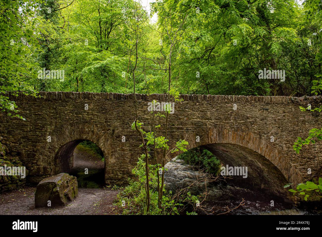 Old stone, arch bridge over a river in the woodlands in Killarney; Kerry, Ireland Stock Photo